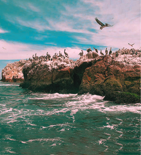 Ica-Paracas & Nazca